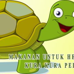 makanan reptile kura kura